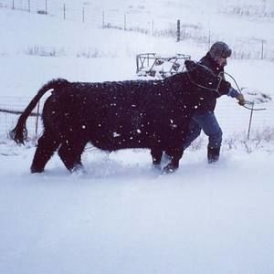 Meet your Posher, Tanner